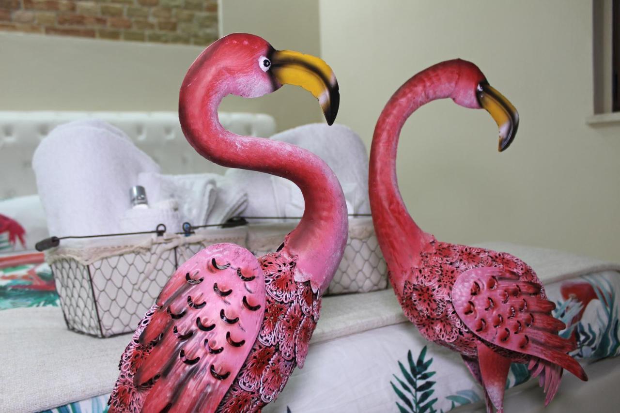 קליארי Flamingo Luxury Apartment Ajpsardinia מראה חיצוני תמונה